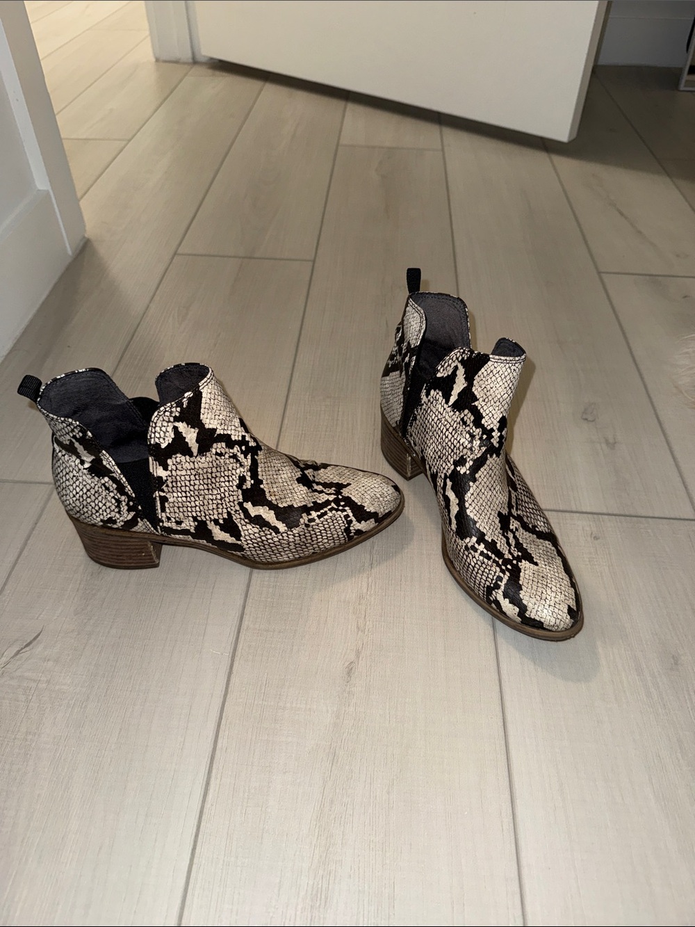 Dr. Scholl's Snake-Print Ankle Booties - Black & Cream